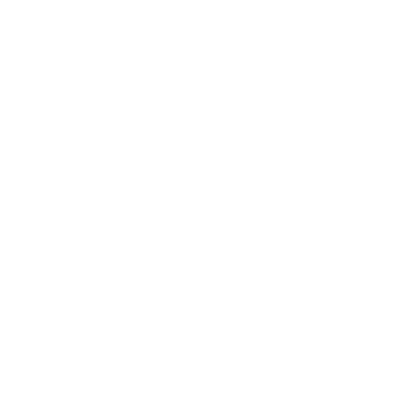 LV Consulting Group